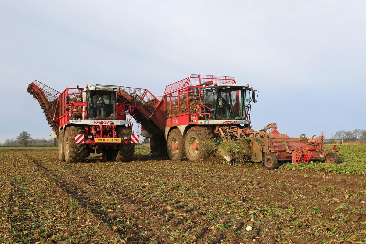 Beet Eater Chaser – J Riley Beet Harvesters Ltd